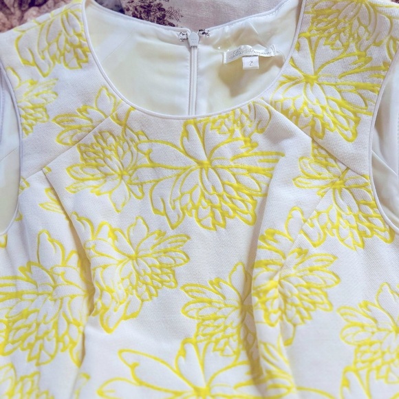 Shoshanna Knee Length Jacquard Shift Sheath Dress Like New Size 2 - Picture 4 of 8